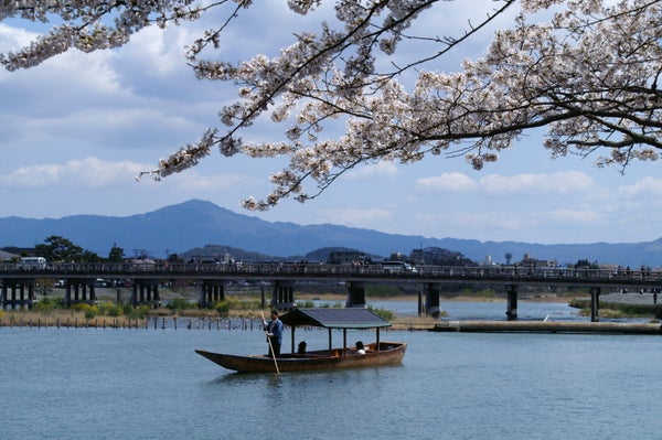 【A/岡山発着】春の京都嵐山 京のごちそうビュッフェランチと甘麹フィナンシェパフェ付き3
